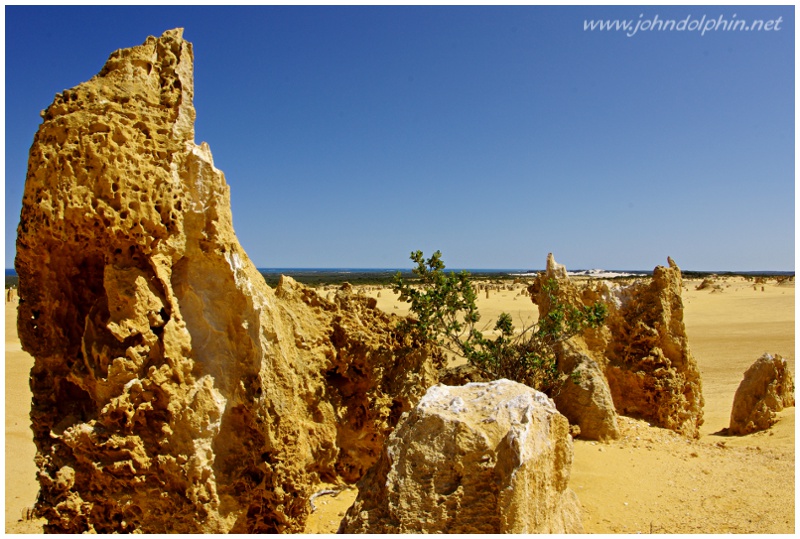 pinacles dessert, Nambung national park