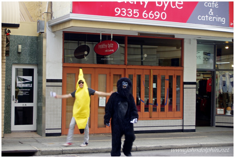 gorilla and banana