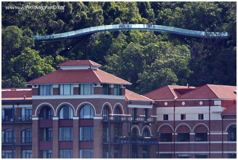 Kings Park glass bridge