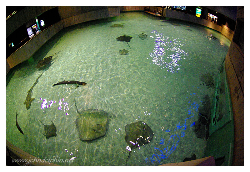 Baltimore Aquarium 3