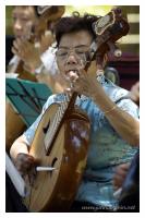 Chinese instrument player