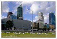 Perth City 2
